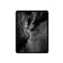 Apple 12.9-inch iPad Pro Wi-Fi + Cellular - 256GB - Space Grey - (MXF52B/A) - Afatrading Company Limited