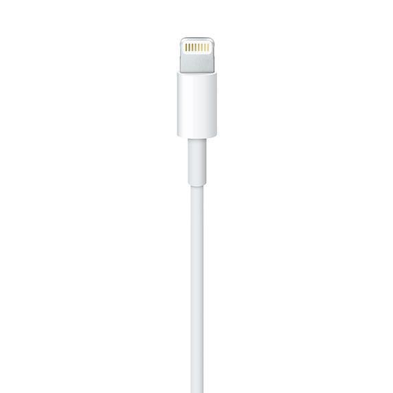 Apple Charging Cable for iPads& iPhones - (MQUE2ZM/A) - Afatrading Company Limited